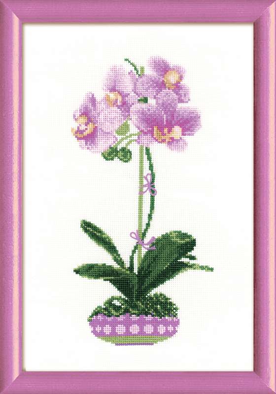 Набор для вышивания крестом Изящные орхидеи, B7009, 25x25см, Luca-S